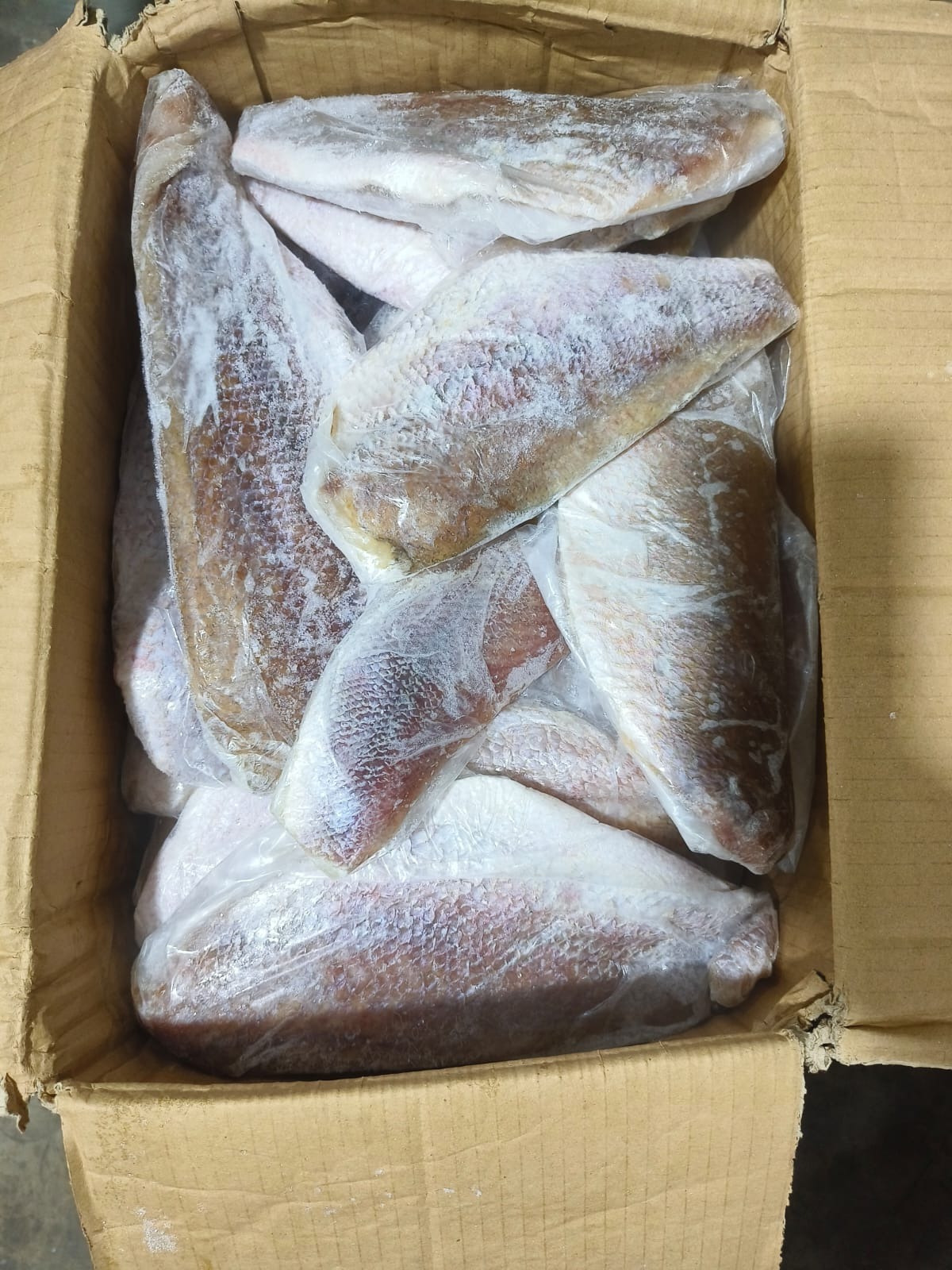 Ikan Kakap Merah Fillet