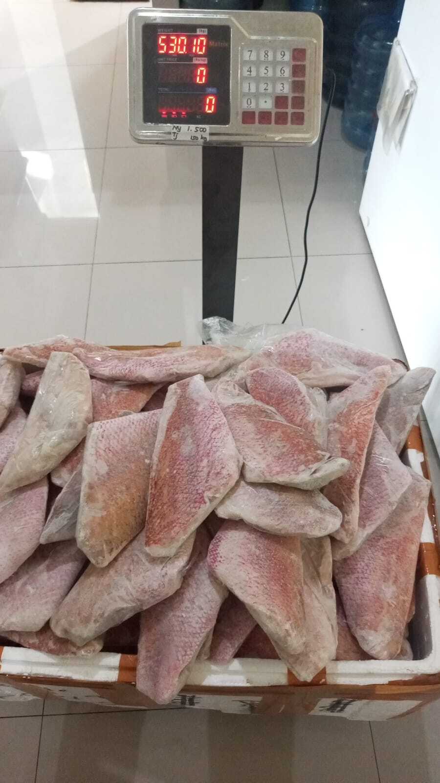 Distributor ikan kakap fillet Depok pengiriman cepat